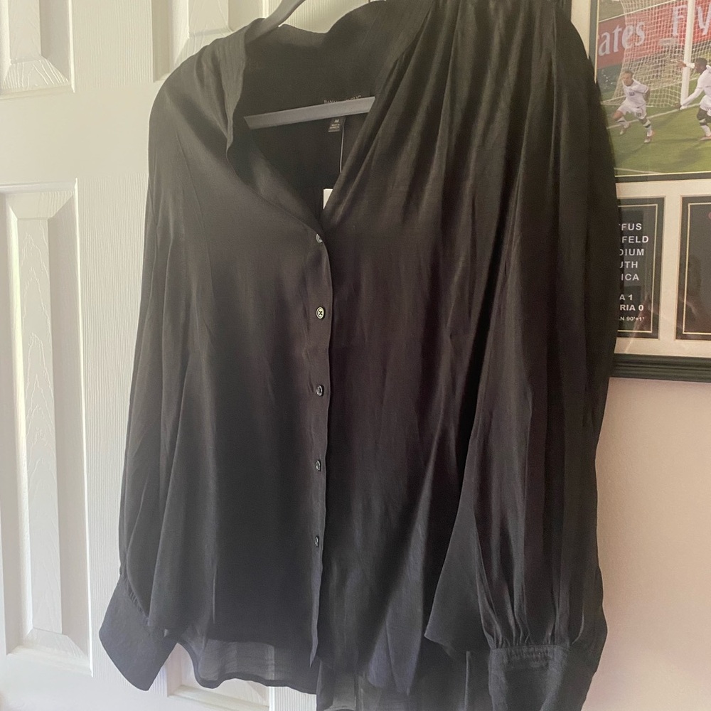 Banana Republic Button Up - shimmery, sheer & elegant